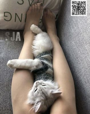 花千骨在线观看_1080P天堂在线