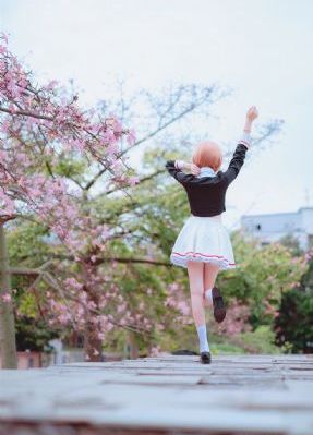 歌手当打之年免费观看完整版_720免费观看超清